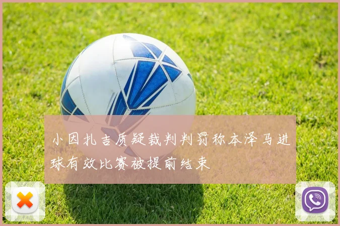 小因扎吉质疑裁判判罚称本泽马进球有效比赛被提前结束